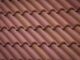 brown roof tiles in close up photography