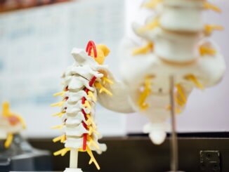 Billede af en rygrad